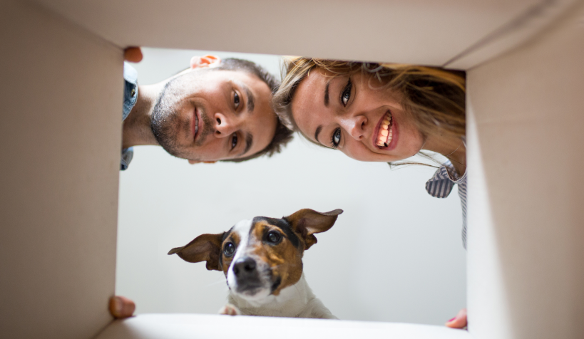 Ups! Hvor blev produkterne af?