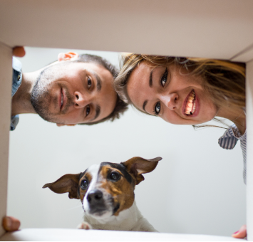 Ups! Hvor blev produkterne af?